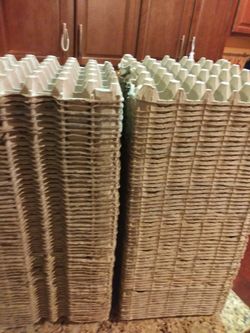 60 eggs flats