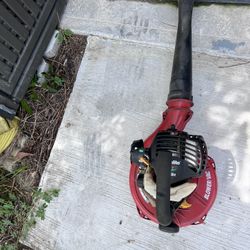 Gas Blower 