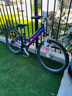 SCHWINN RANGER YOUTH MOUNTAIN BIKE 24” Wheels