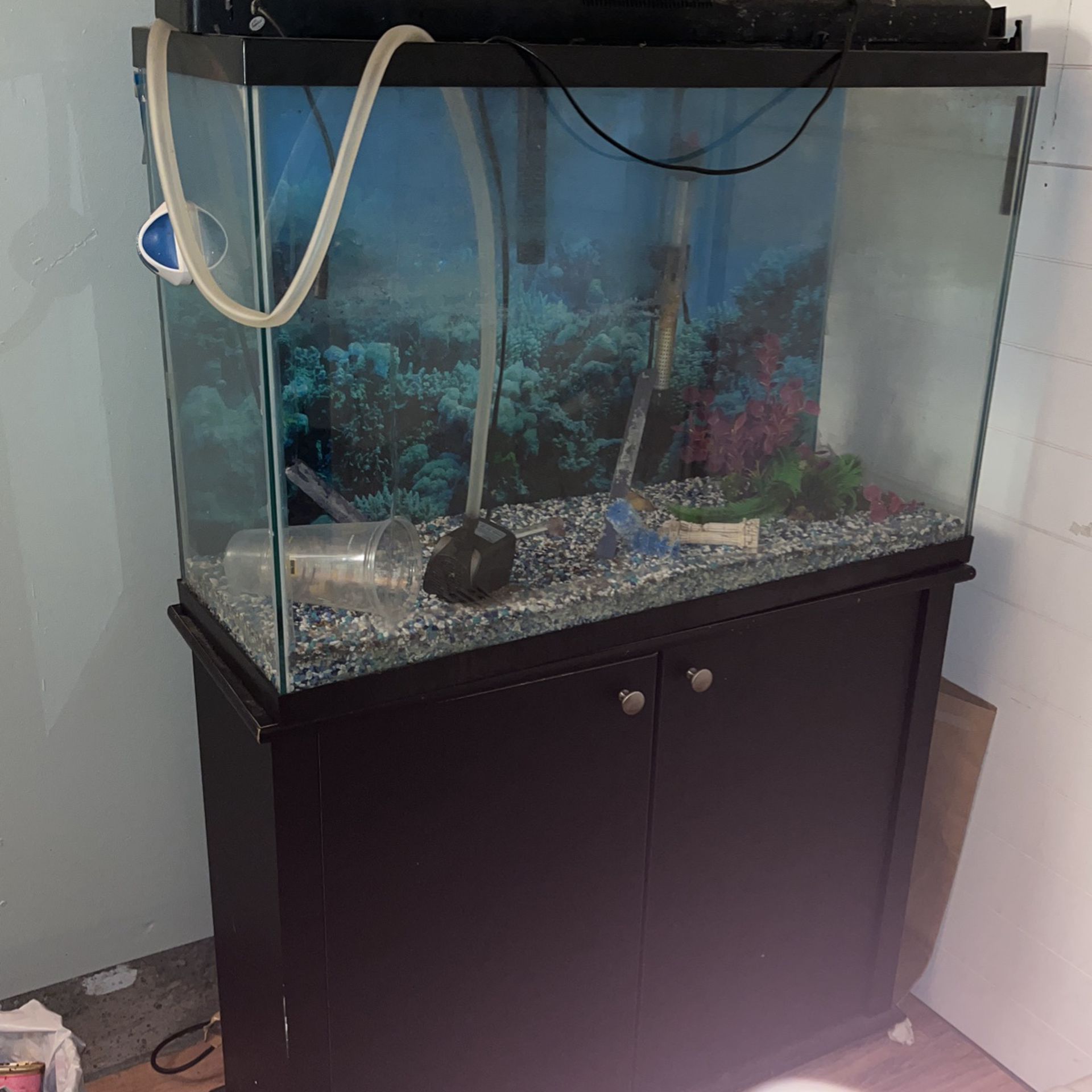 45 Gallon Fish Tank & Stand 