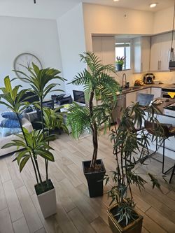 Plantas    artificial