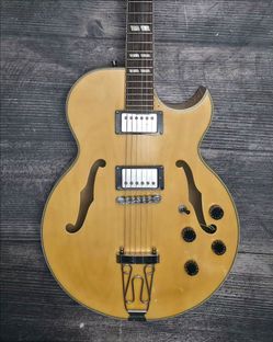 Semi Hollowbody Electric Guitar  ! $200 or best offer !!