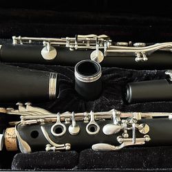 Clarinet with carry case in excellent condition- Low Price. $45