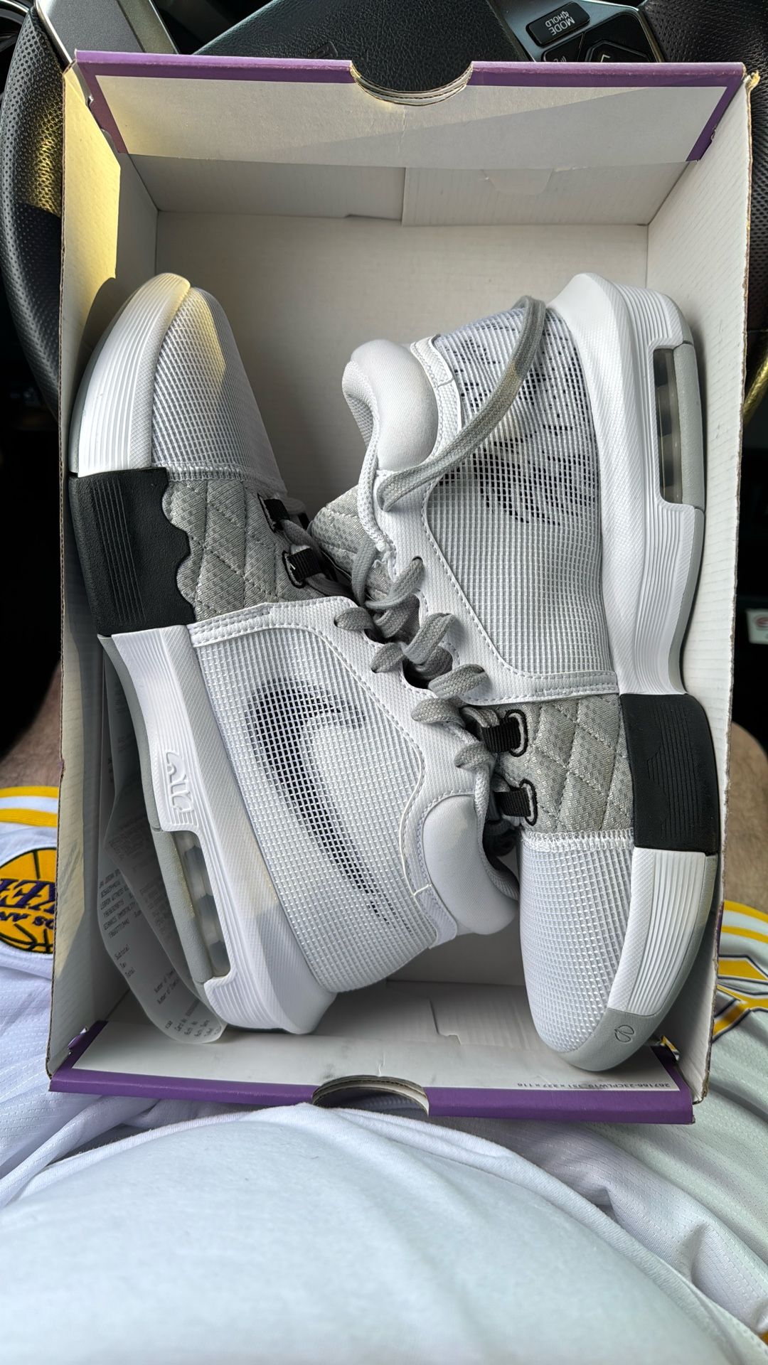 Lebron Basketball Shoes