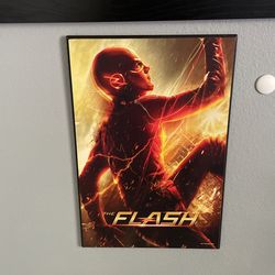 The Flash Picture