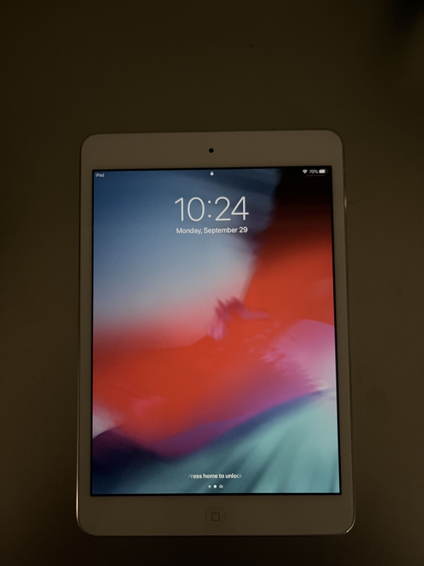 iPad mini 2