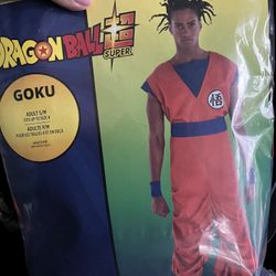 Dragon, Ball, Z Goku costume