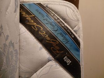 Queen Serta Perfect Sleeper mattress, box spring and bed frame
