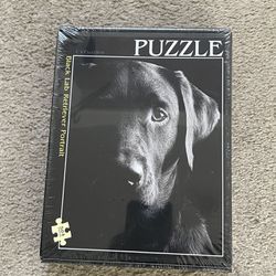 Labrador Puzzle, 504 Pieces, Sealed box