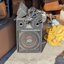 A single Peavey 115C Full Range And A Small Ramsa