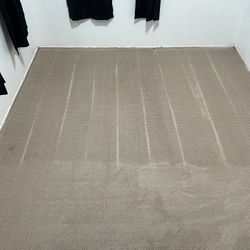 Clean Carpet 