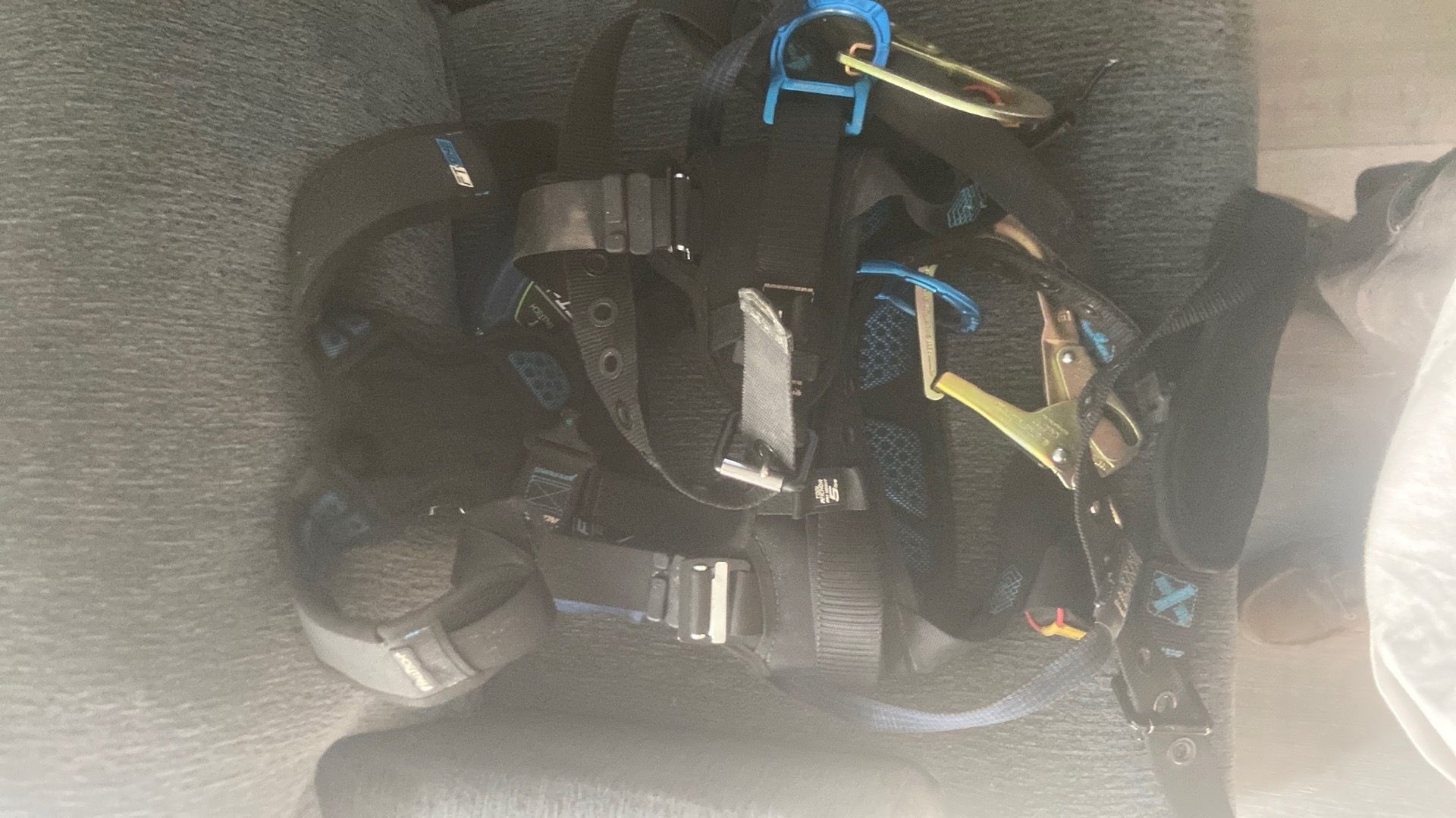 Harness