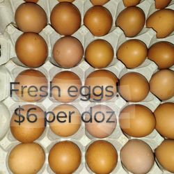 FRESH EGGS  $6 per Doz 