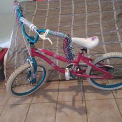 Girls Bike 20" Wheels (Dynacraft) Like New