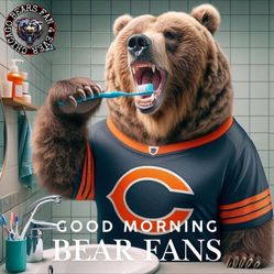 BEARS SEAHAWKS GAME CHICAGO DEC 26 2024 