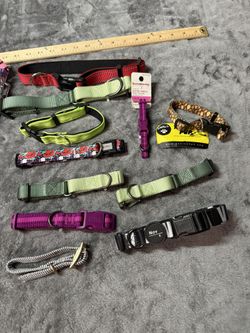 Bundle Of Collars For Dogs New! 