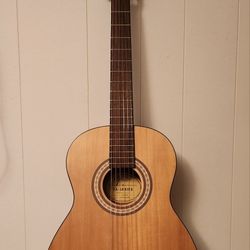 Fender Beginner Guitar 