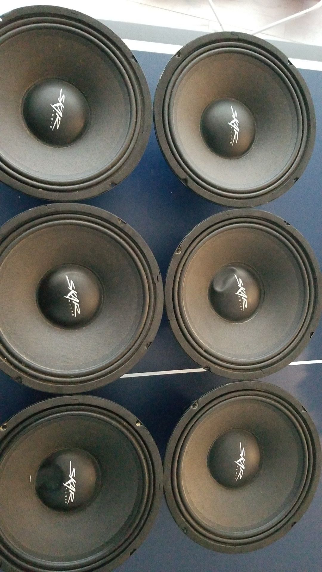 Skar audio 10" speakers