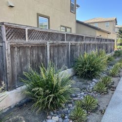 Fence 