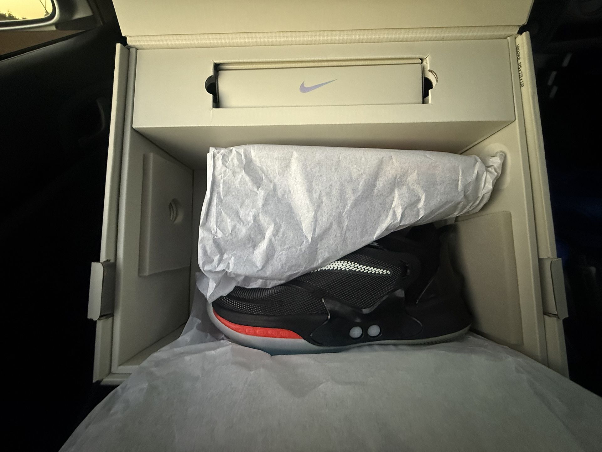Nike Adapt 2.0