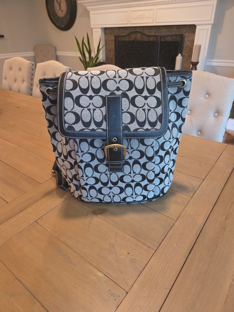 Super Cute Purse / Backpack