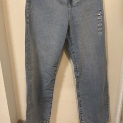 Pacsun extreme baggy light indigo color pants