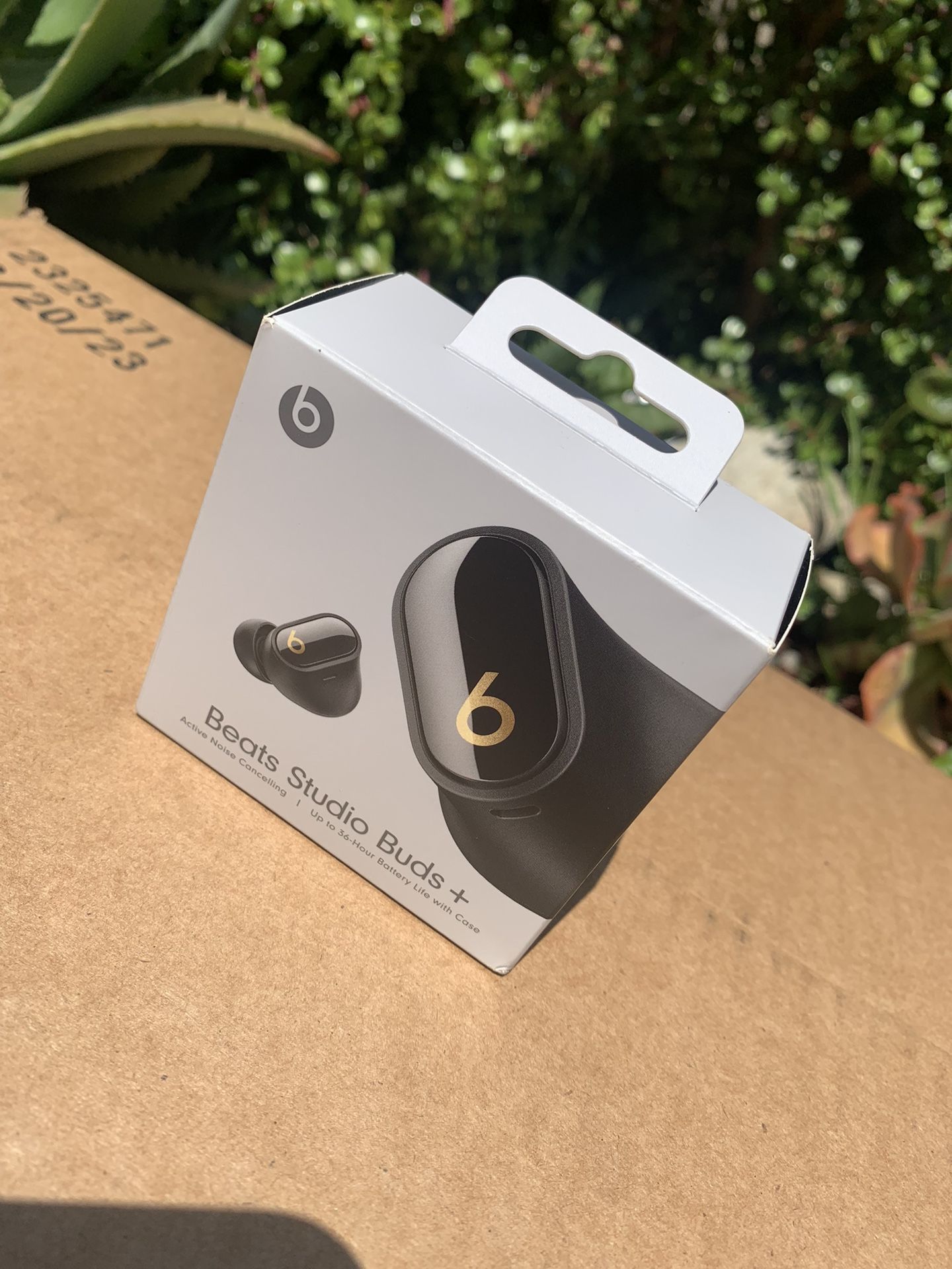 Beats Studio Buds+ (Black / With Gold )