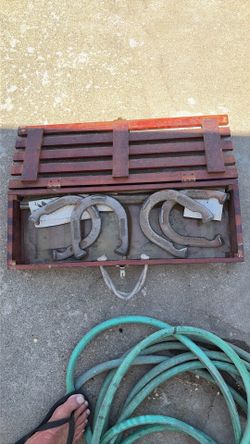 Set of horseshoes with stakes and carrying case