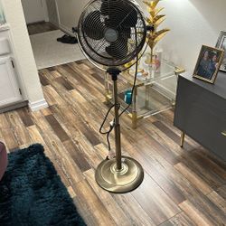 like  New Standing fan 