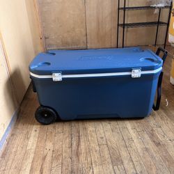 Coleman Cooler