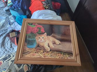 Framed Kitten Print Wall Art
