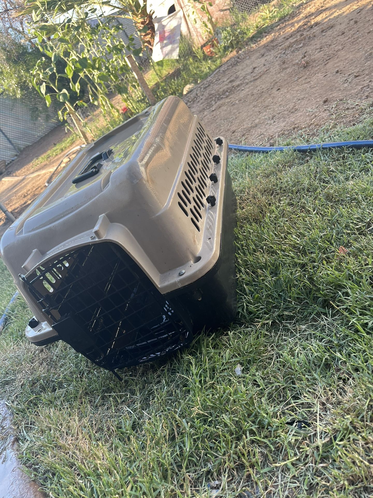 Dog Kennel