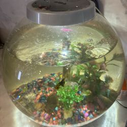 Pescera