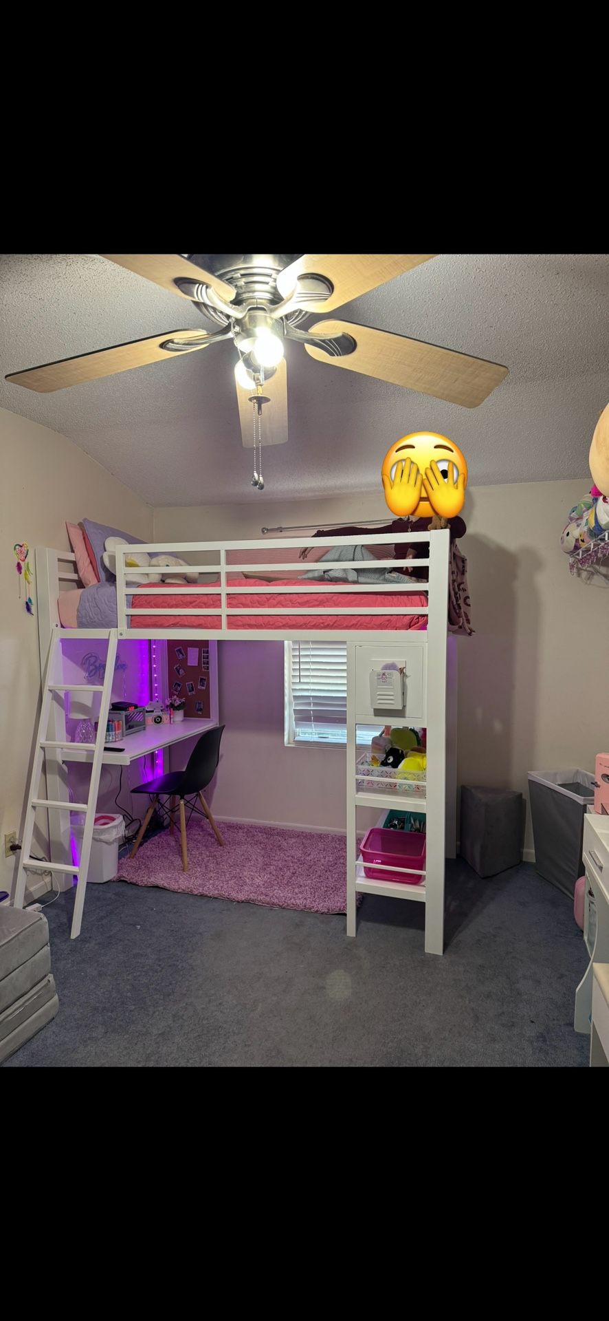 Twin Loft Bed