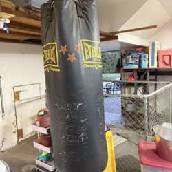 Everlast Punching Bag