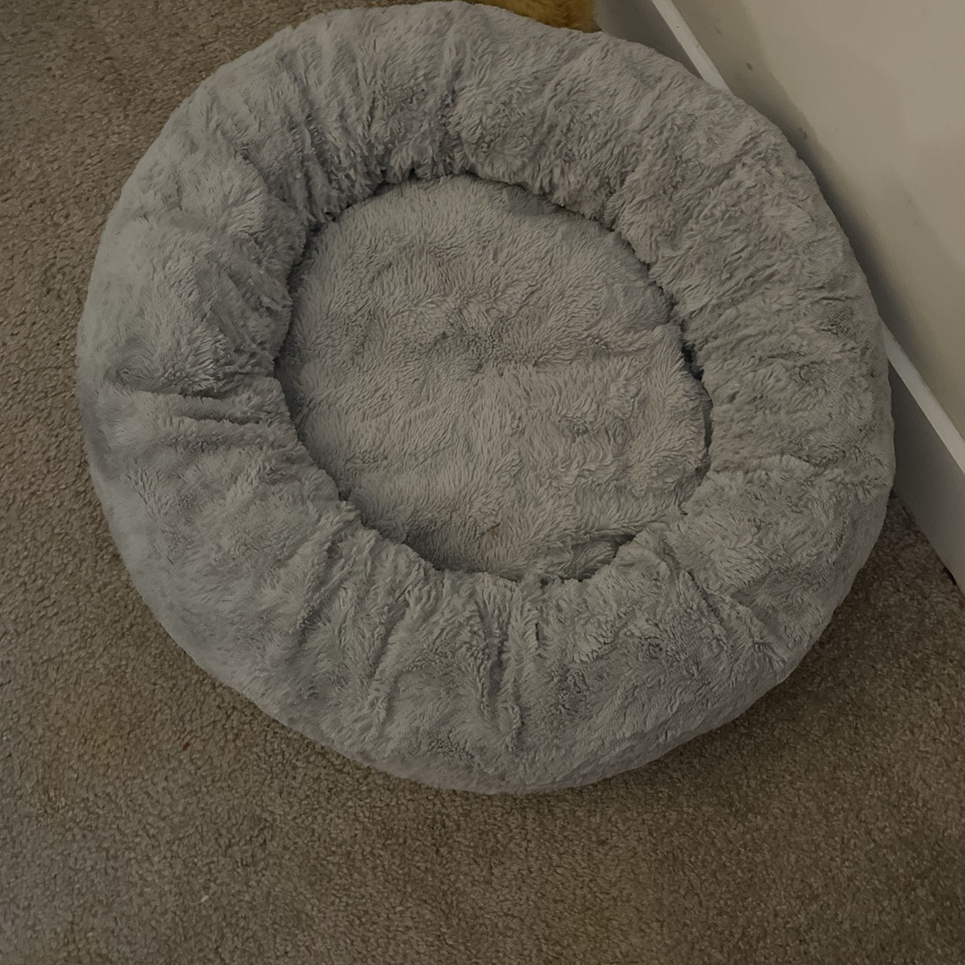 Dog bed
