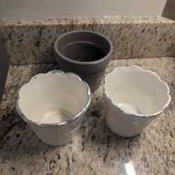 Pot Plants 