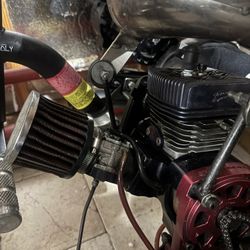 Goped Go Ped ( ONLY MOTOR!)