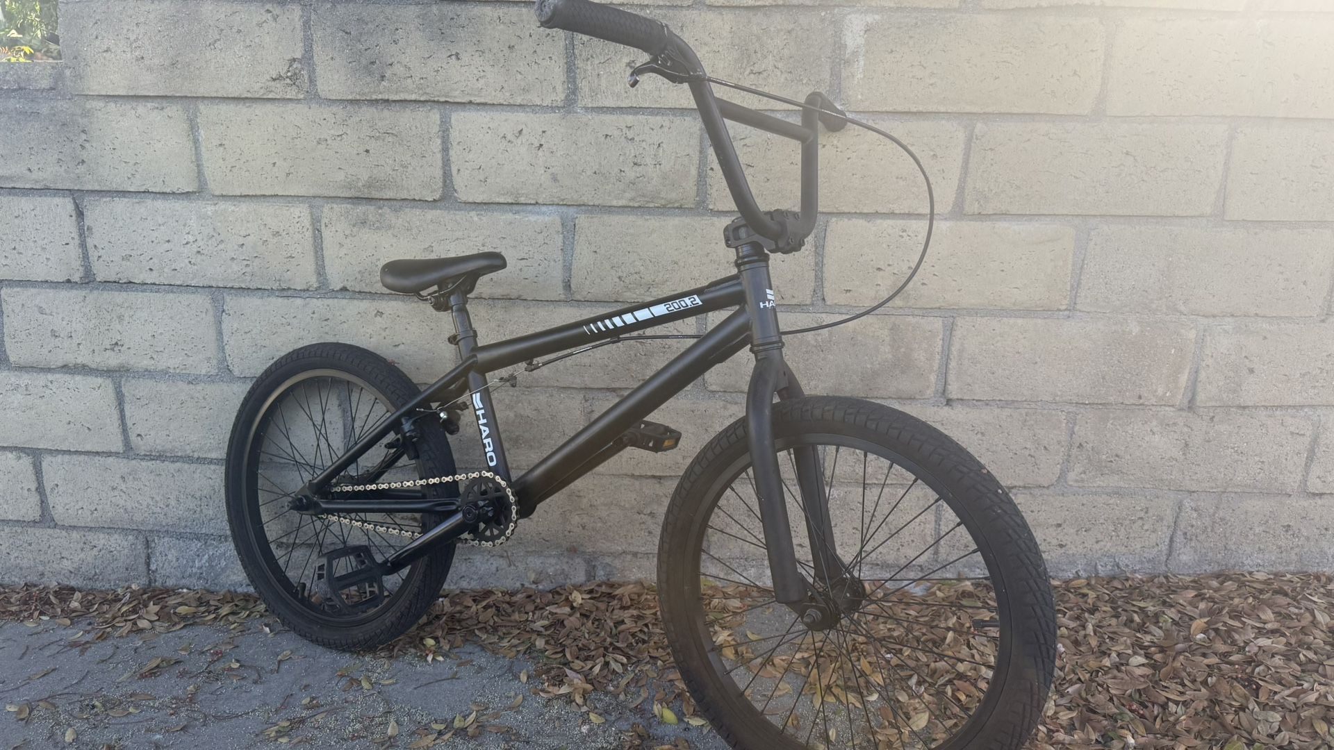 Haro Bmx Bike 200.2