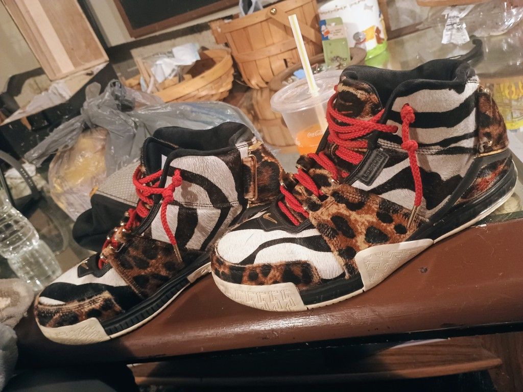 King James Nikes