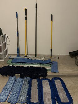 Mops