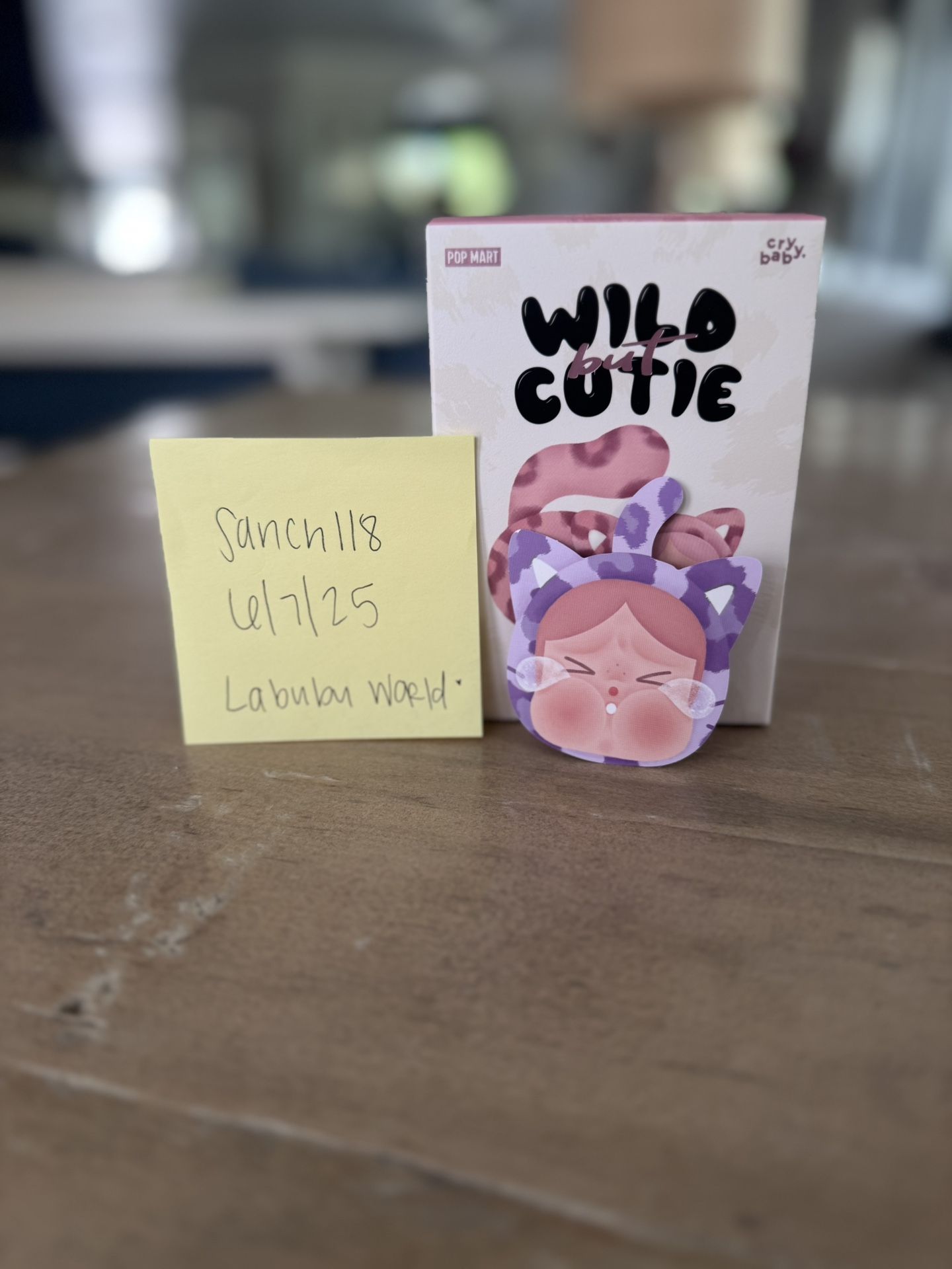 Wild But Cutie On Hand For Sale & Pre-order!
