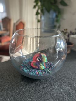 Large Fish Bowl