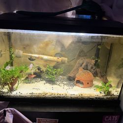 10gal Fish tank with fish tools