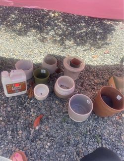 Various flower pots
