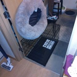 Dog Carrier & Sav Fox  Calmer  Bed