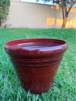Red Plantar