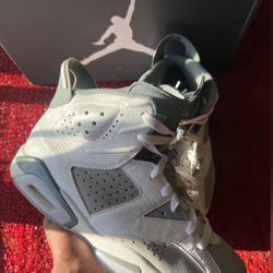 Jordan 6 “Cool Grey”