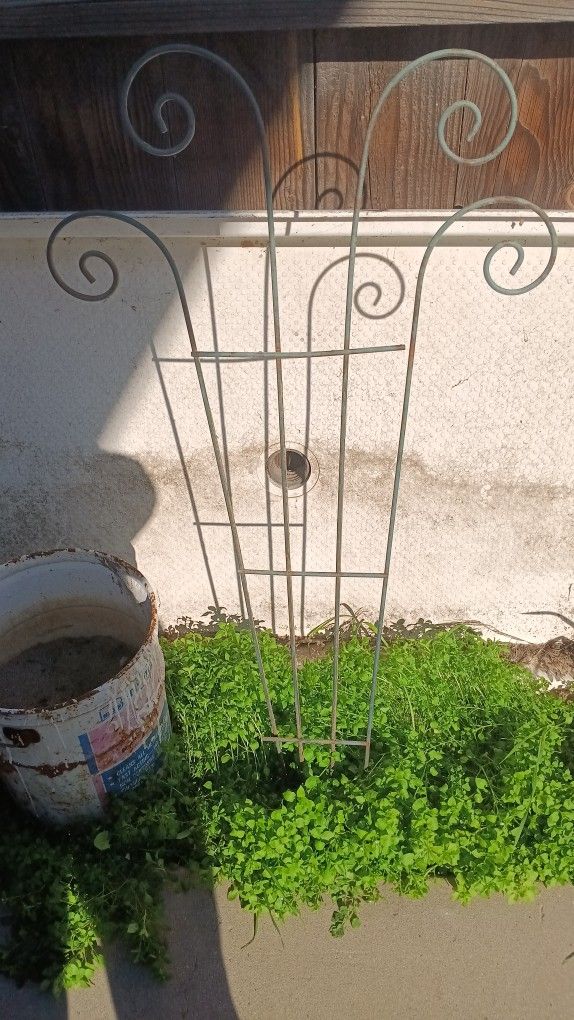Wrought Iron Plant Hanger