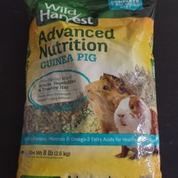 Guinea Pig Food And Nesting